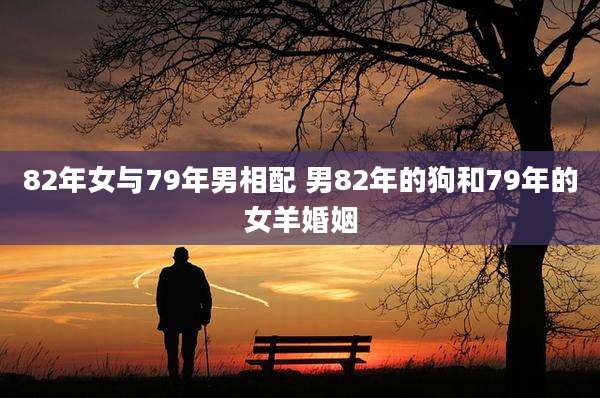 82年女与79年男相配 男82年的狗和79年的女羊婚姻