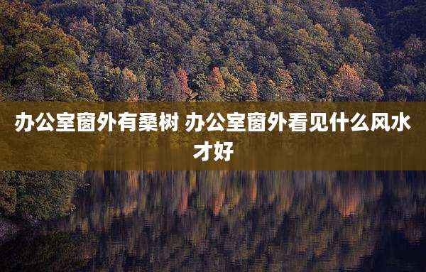 办公室窗外有桑树 办公室窗外看见什么风水才好