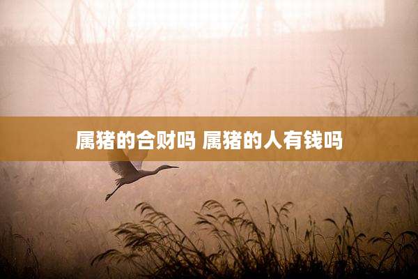 属猪的合财吗 属猪的人有钱吗
