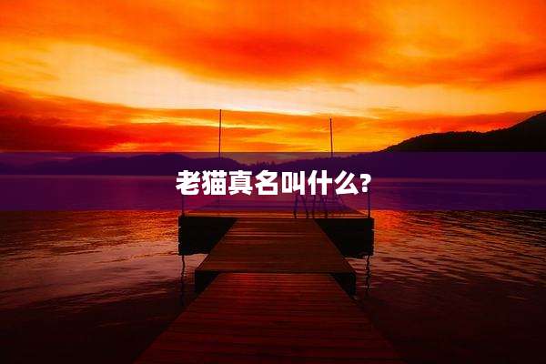 老猫真名叫什么?