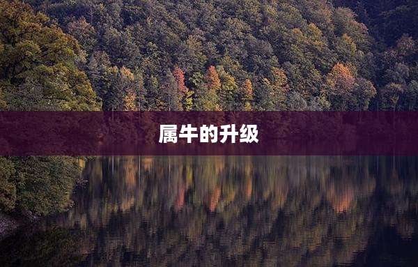 属牛的升级