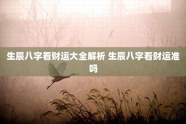 生辰八字看财运大全解析 生辰八字看财运准吗