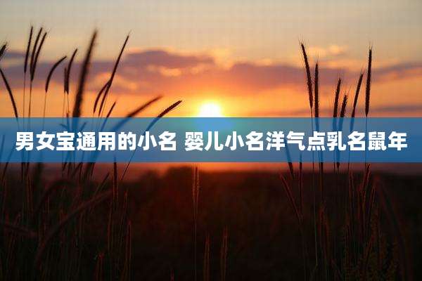 男女宝通用的小名 婴儿小名洋气点乳名鼠年