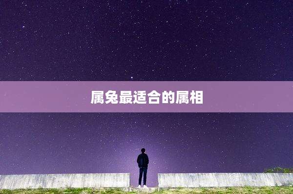 属兔最适合的属相