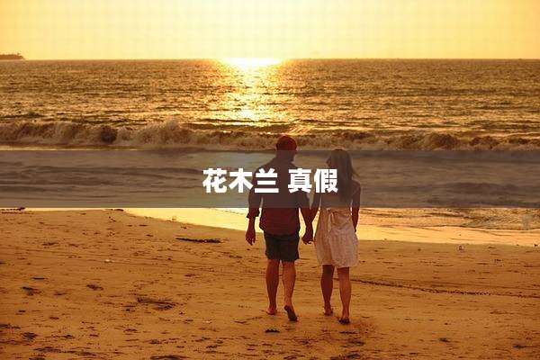 花木兰 真假