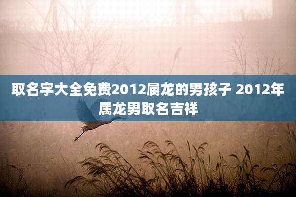 取名字大全免费2012属龙的男孩子 2012年属龙男取名吉祥