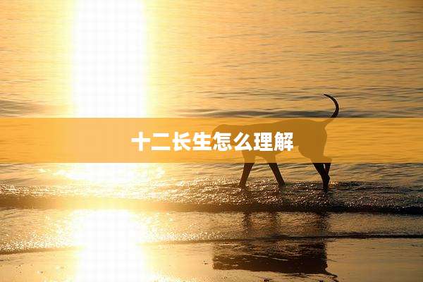 十二长生怎么理解
