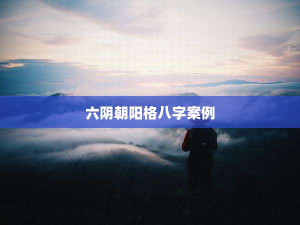 六阴朝阳格八字案例