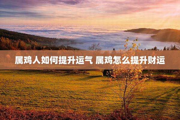 属鸡人如何提升运气 属鸡怎么提升财运