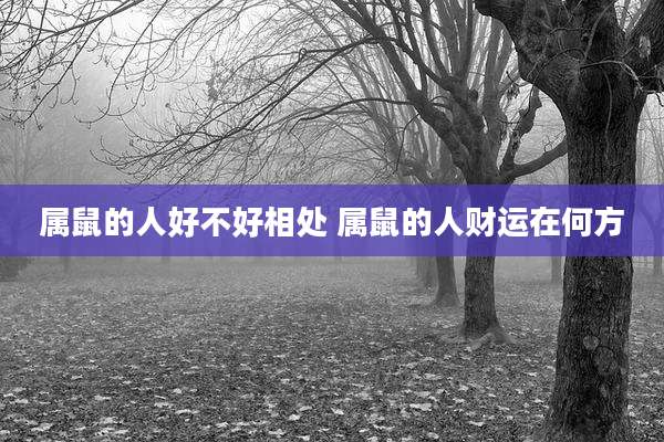 属鼠的人好不好相处 属鼠的人财运在何方