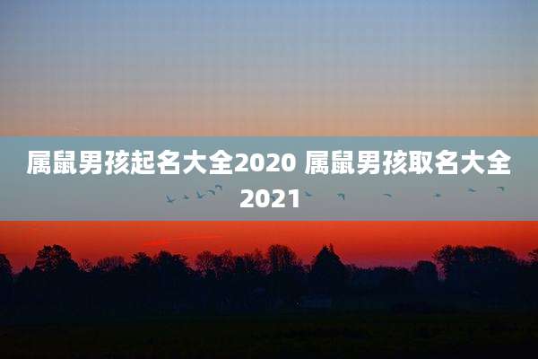 属鼠男孩起名大全2020 属鼠男孩取名大全2021