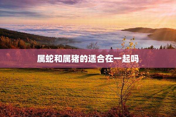 属蛇和属猪的适合在一起吗