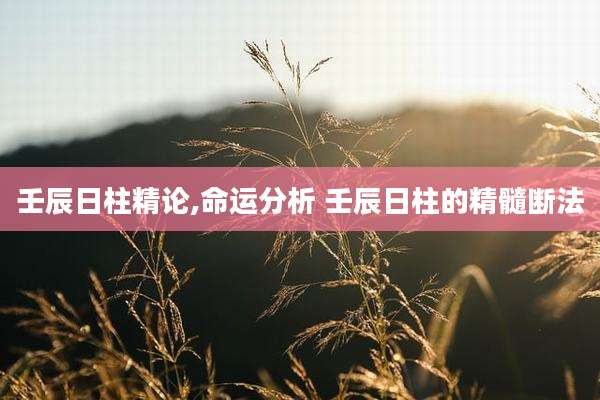 壬辰日柱精论,命运分析 壬辰日柱的精髓断法