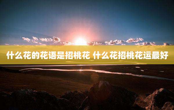 什么花的花语是招桃花 什么花招桃花运最好
