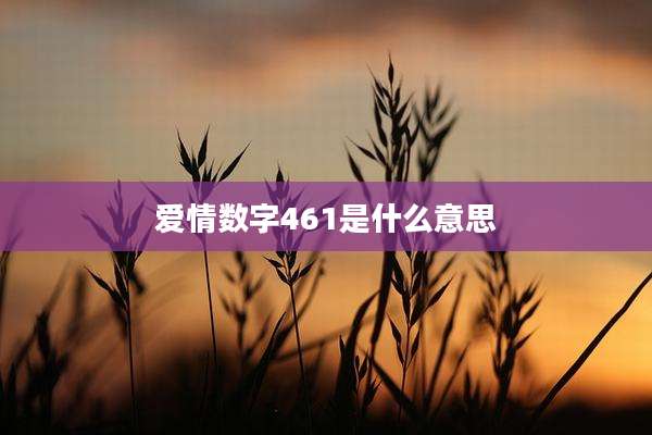 爱情数字461是什么意思