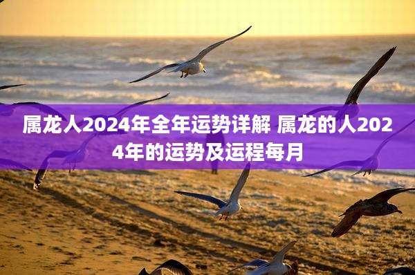 属龙人2024年全年运势详解 属龙的人2024年的运势及运程每月