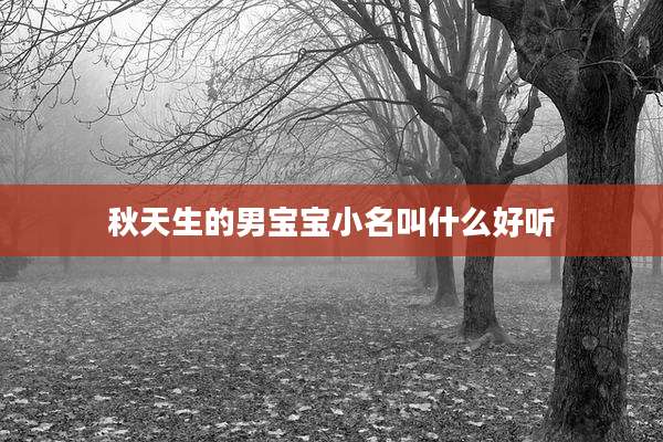 秋天生的男宝宝小名叫什么好听