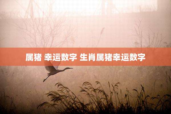 属猪 幸运数字 生肖属猪幸运数字
