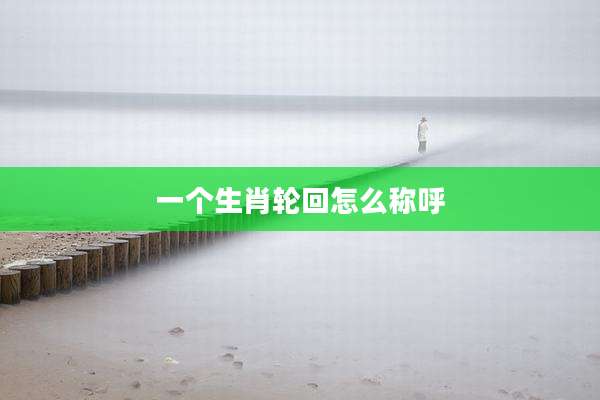一个生肖轮回怎么称呼