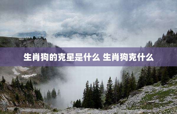 生肖狗的克星是什么 生肖狗克什么