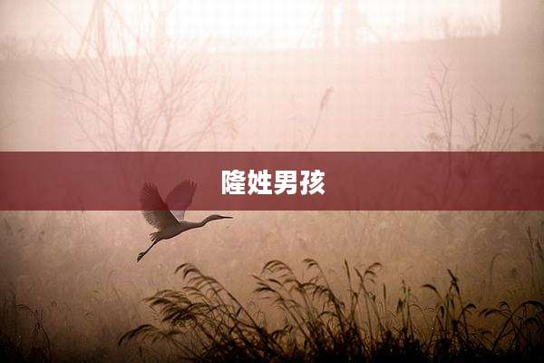 隆姓男孩