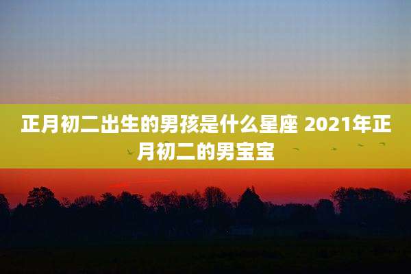 正月初二出生的男孩是什么星座 2021年正月初二的男宝宝