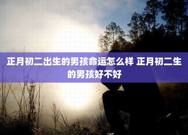 正月初二出生的男孩命运怎么样 正月初二生的男孩好不好