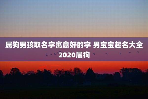 属狗男孩取名字寓意好的字 男宝宝起名大全2020属狗