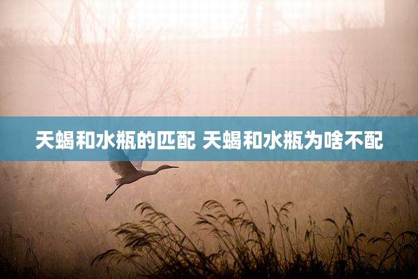 天蝎和水瓶的匹配 天蝎和水瓶为啥不配