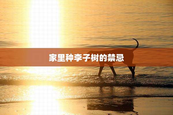 家里种李子树的禁忌