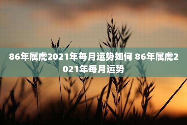 86年属虎2021年每月运势如何 86年属虎2021年每月运势