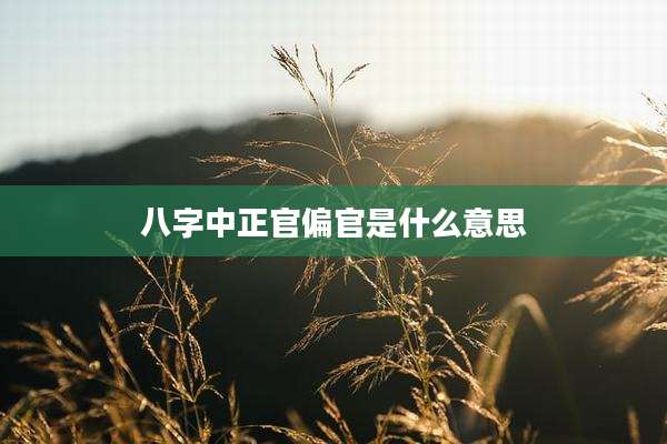 八字中正官偏官是什么意思