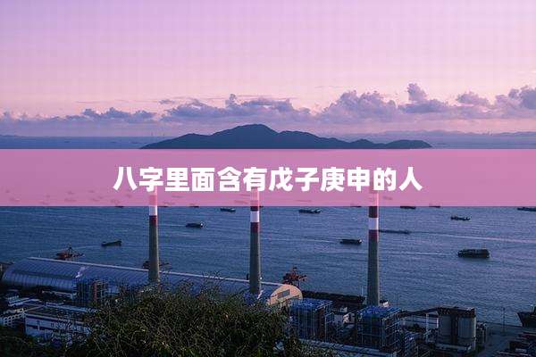 八字里面含有戊子庚申的人
