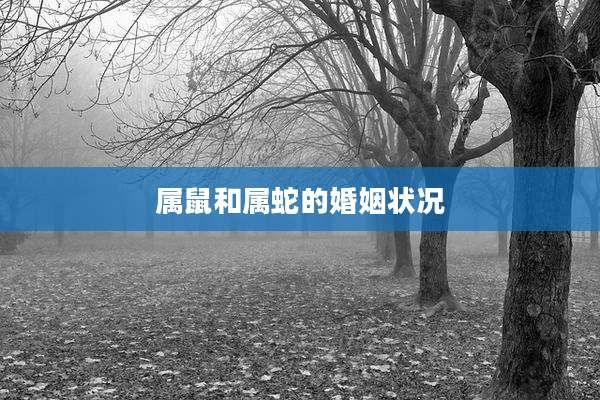 属鼠和属蛇的婚姻状况