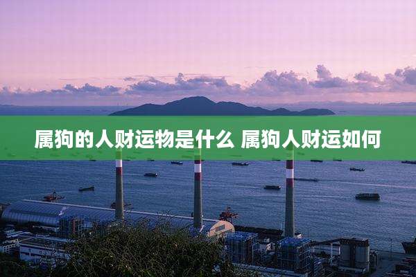 属狗的人财运物是什么 属狗人财运如何