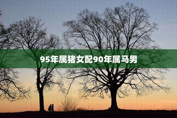 95年属猪女配90年属马男