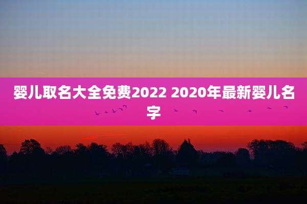婴儿取名大全免费2022 2020年最新婴儿名字