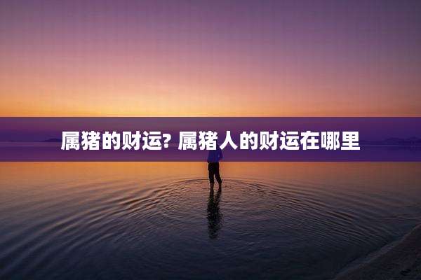 属猪的财运? 属猪人的财运在哪里