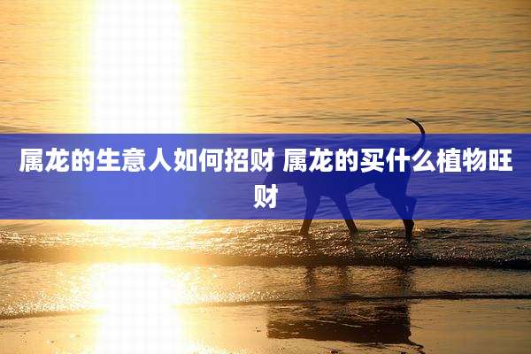 属龙的生意人如何招财 属龙的买什么植物旺财
