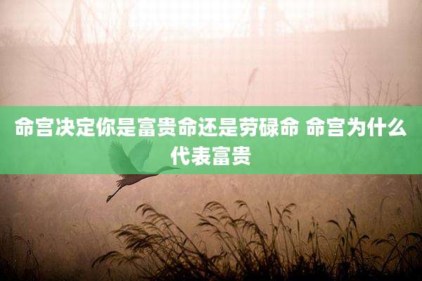 命宫决定你是富贵命还是劳碌命 命宫为什么代表富贵