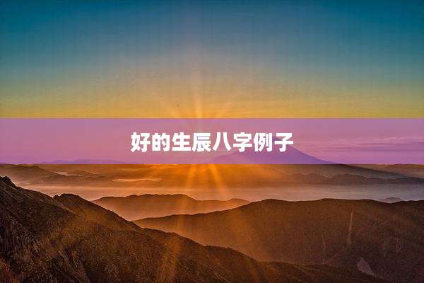 好的生辰八字例子