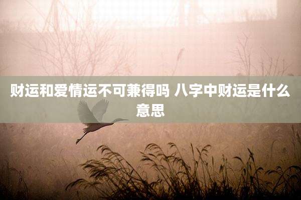 财运和爱情运不可兼得吗 八字中财运是什么意思
