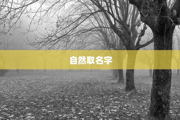 自然取名字