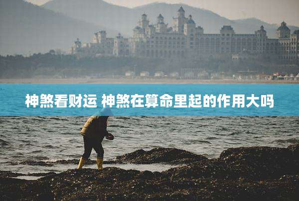 神煞看财运 神煞在算命里起的作用大吗