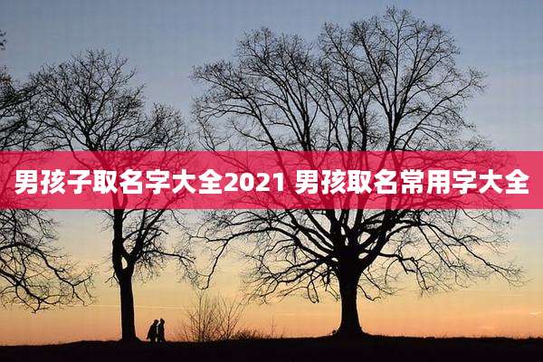 男孩子取名字大全2021 男孩取名常用字大全