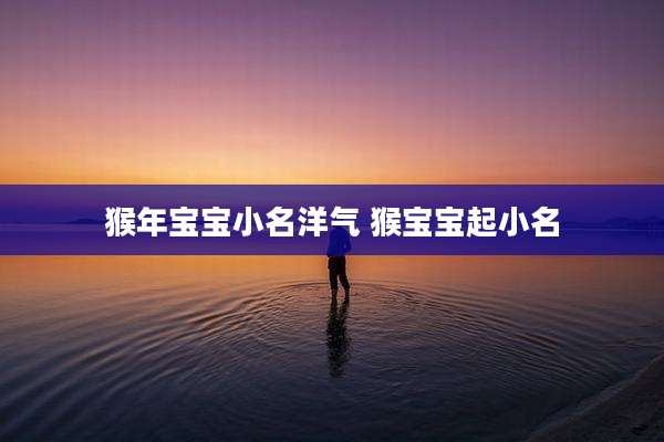 猴年宝宝小名洋气 猴宝宝起小名