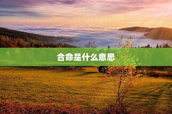 合命是什么意思