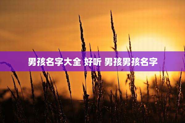 男孩名字大全 好听 男孩男孩名字