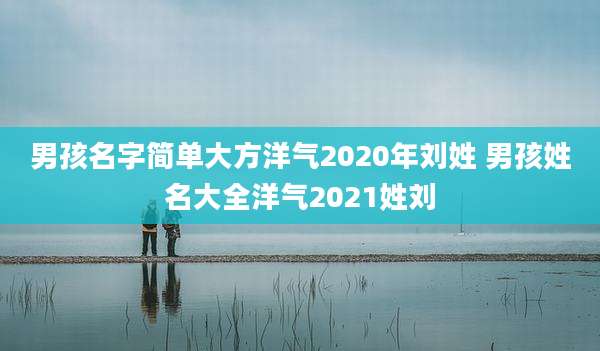 男孩名字简单大方洋气2020年刘姓 男孩姓名大全洋气2021姓刘