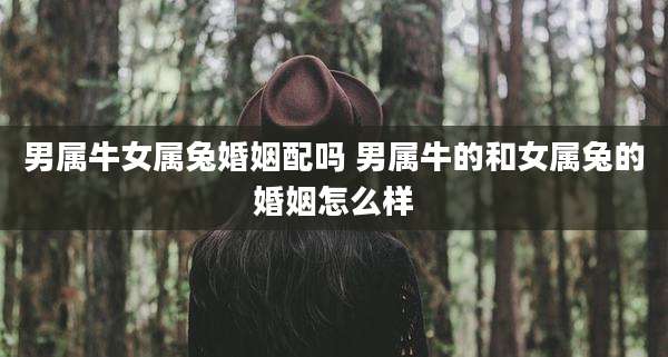 男属牛女属兔婚姻配吗 男属牛的和女属兔的婚姻怎么样